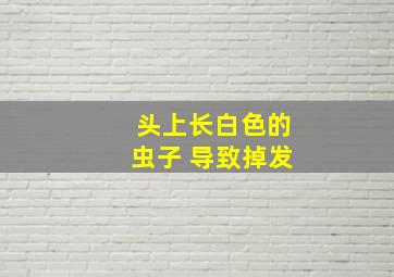 头上长白色的虫子 导致掉发